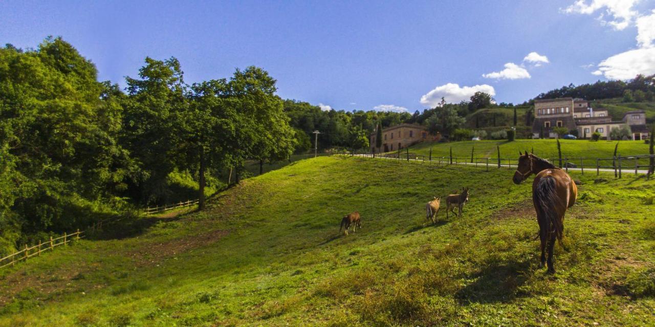 Agriturismo Rio Coverino Borghetto  Exteriör bild